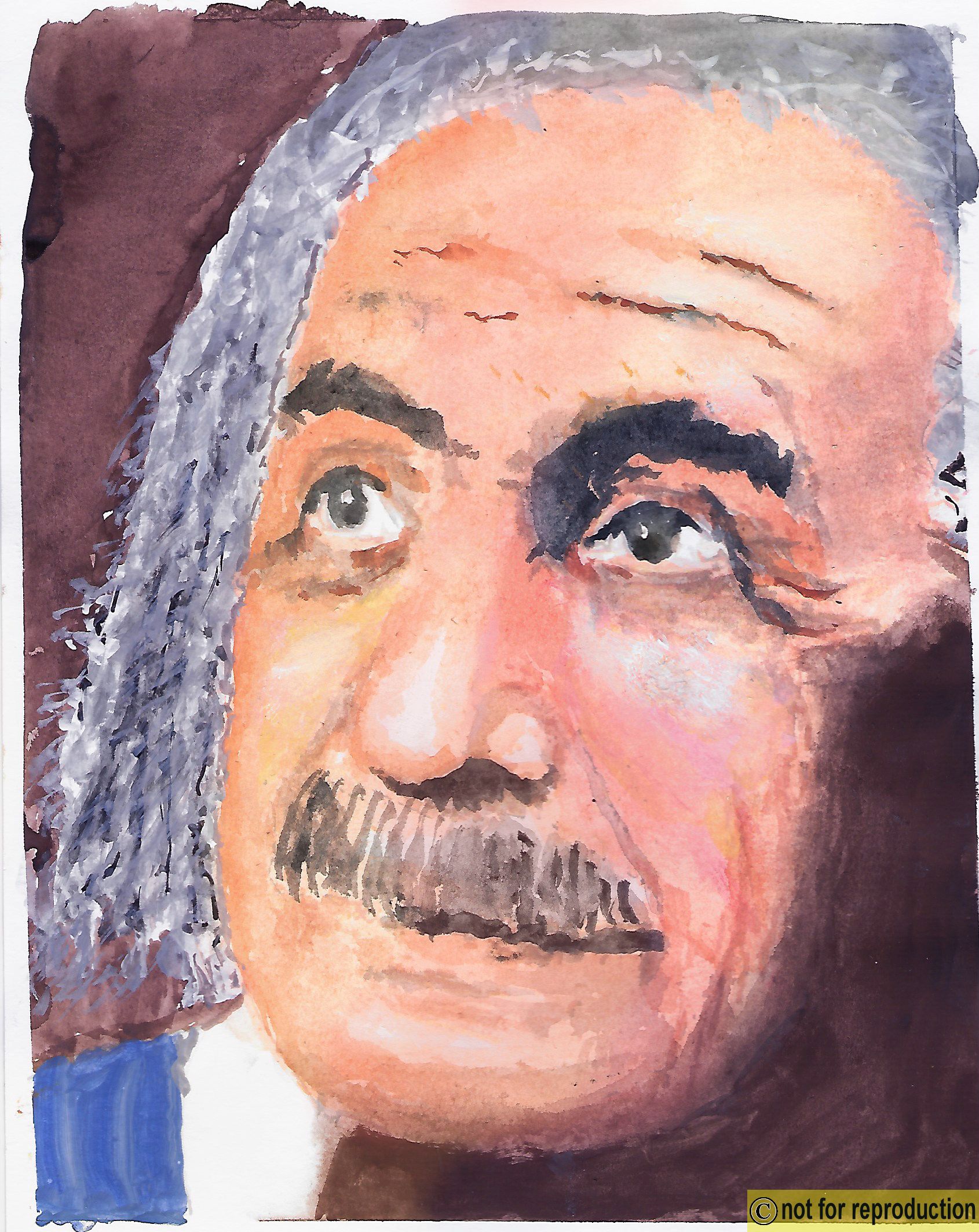 Click to Enlarge-Esc to Close ArtWork1/Artwork/ArtworktoLDAsite/Face-EinstienAWCupdate.jpg