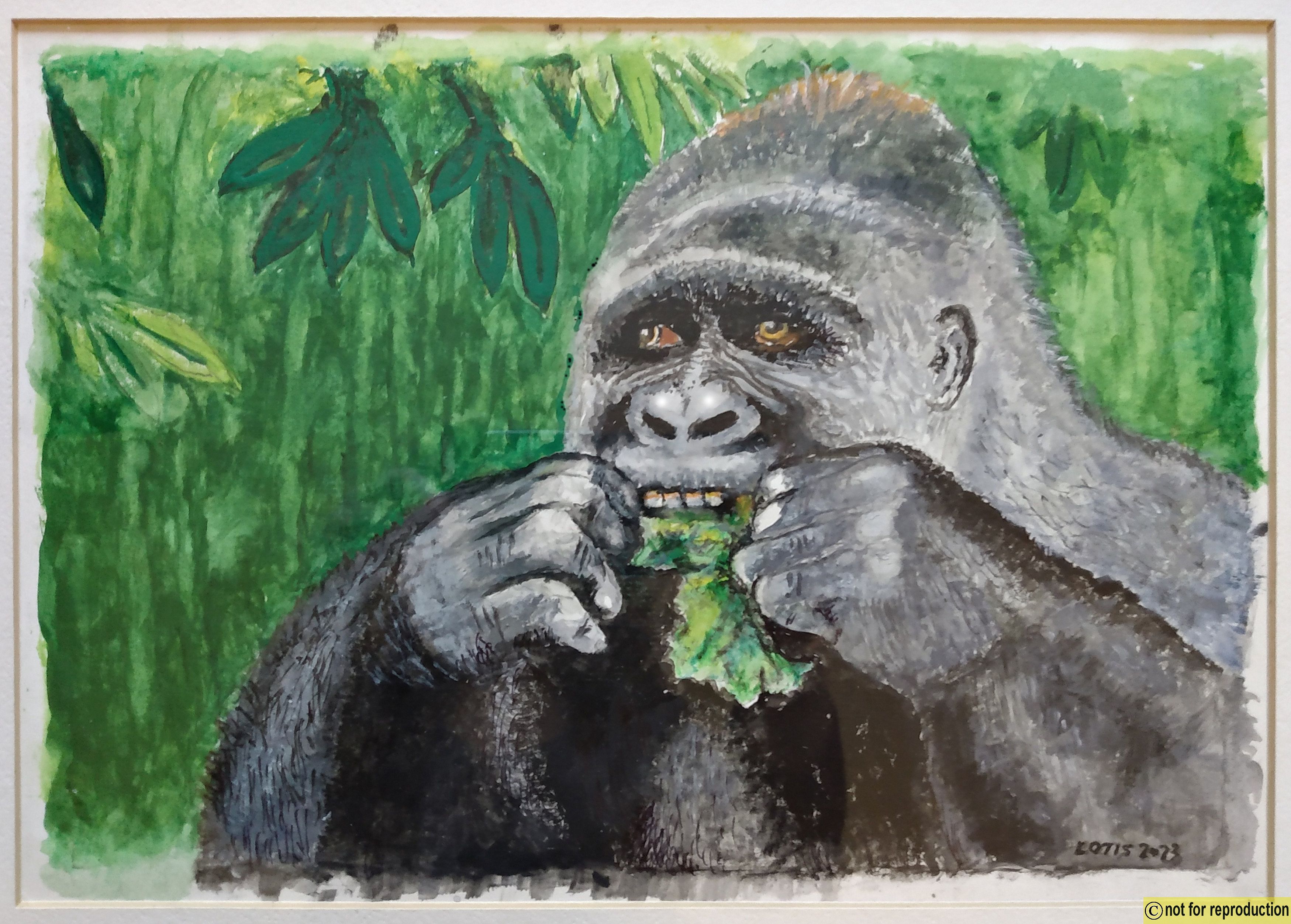 Click to Enlarge-Esc to Close ArtWork1/Artwork/ArtworktoLDAsite/Gorilla2.jpg