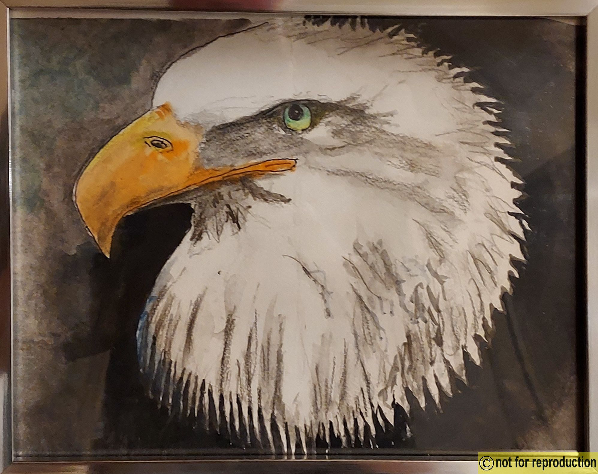 Click to Enlarge-Esc to Close ArtWork1/Artwork/ArtworktoLDAsite/eagle.jpg