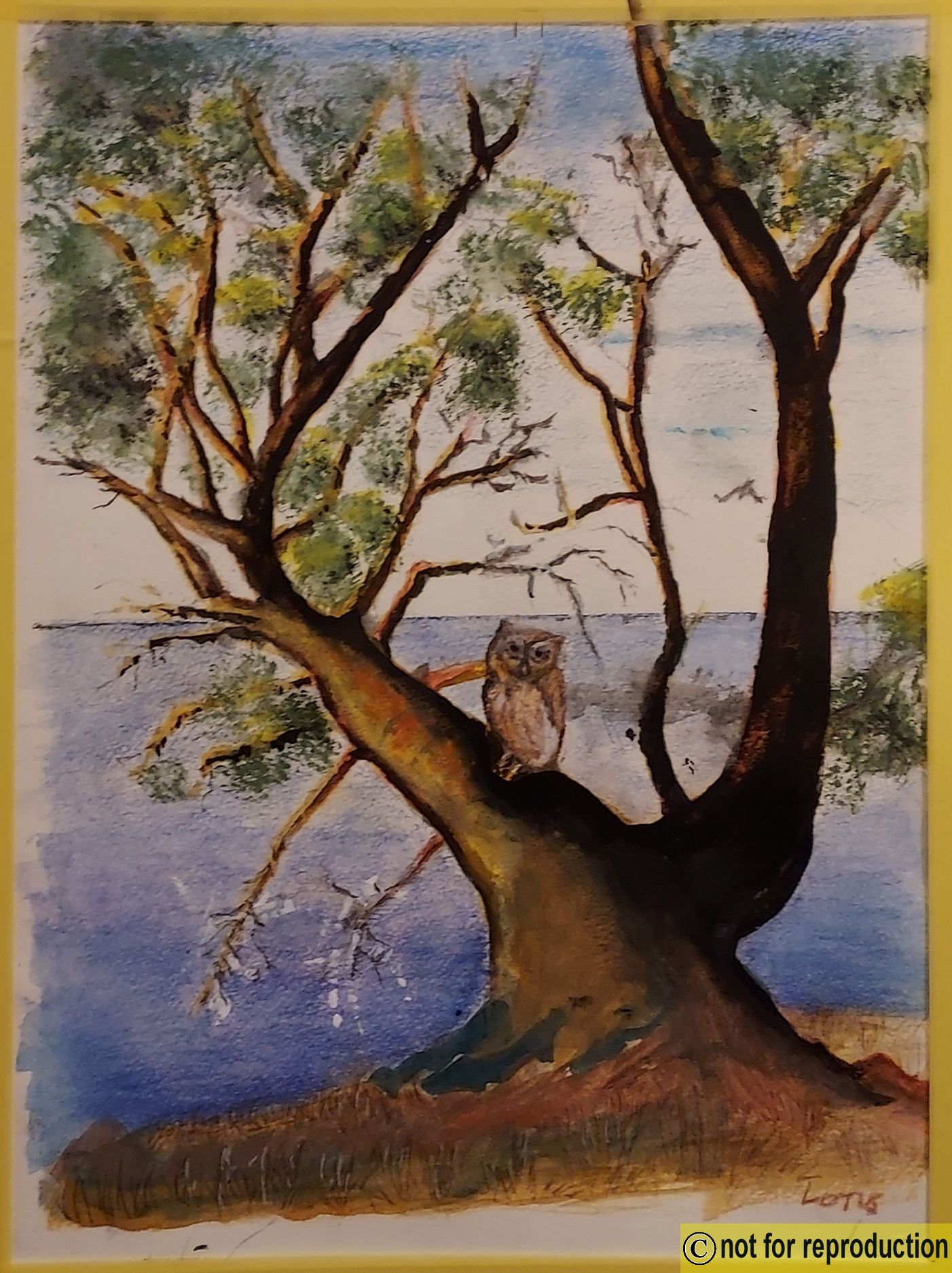 Click to Enlarge-Esc to Close ArtWork1/Artwork/ArtworktoLDAsite/owl1.jpg