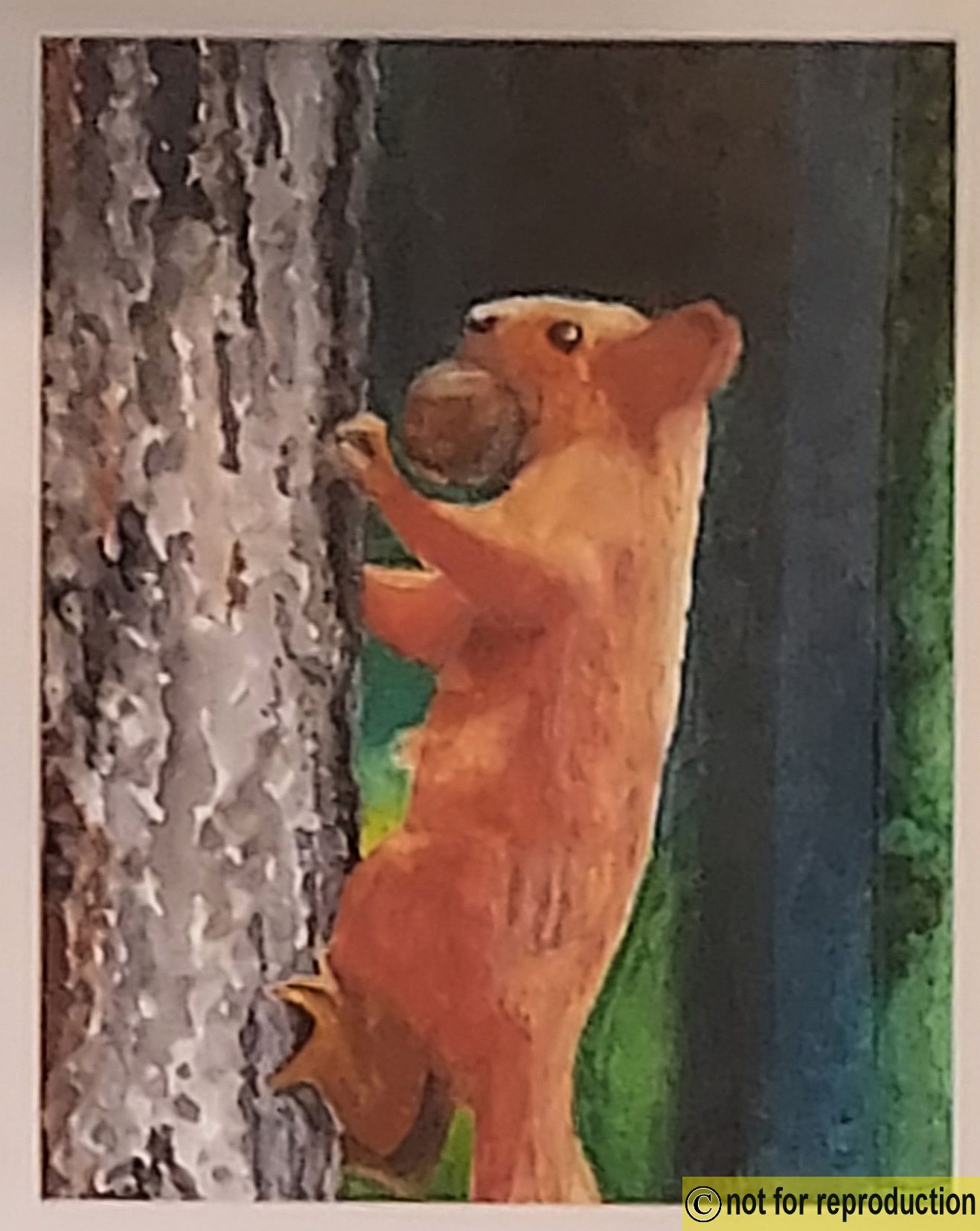 Click to Enlarge-Esc to Close ArtWork1/Artwork/ArtworktoLDAsite/squirrel2.jpg